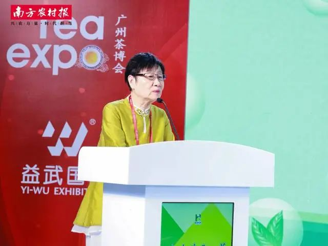 廣東省茶業(yè)行業(yè)協(xié)會(huì)專職副會(huì)長張黎明解碼海豐蓮花山茶的品牌升級(jí)之路。